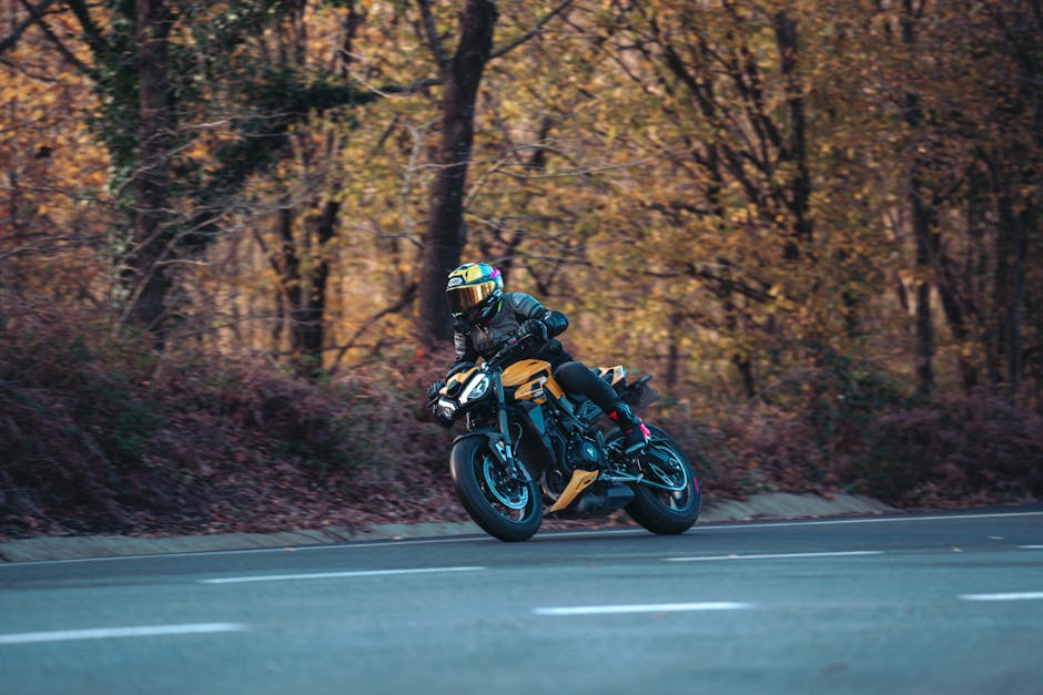 Motorcycle rider on a curved road through a forest during fall. Vibrant autumn colors enhance the scenic adventure.